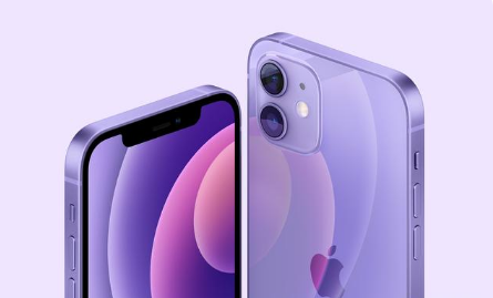 鸡东苹果手机维修分享紫色版iPhone 12有什么技术亮点 