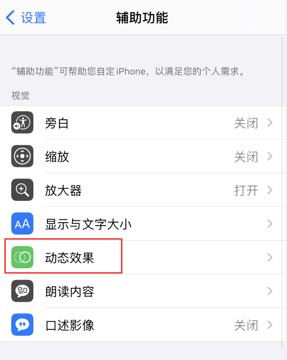 鸡东苹果手机维修分享iPhone 12 退出应用时没有动画显示，如何设置 